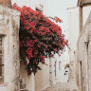 Meet your Posher, Kosal